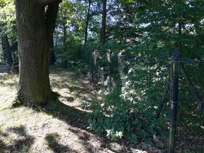 Ausgangssituation Ausgangssituation