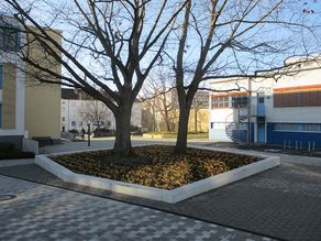 Integration des Altbaumbestandes