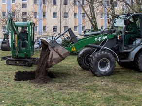 Das Baum-Pflanzloch wird vorbereitet