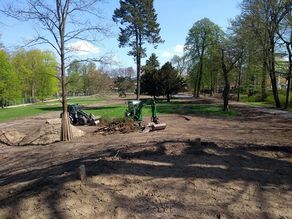 Umbau und Sanierung 1.BA Schloßpark Berlin Buch