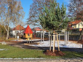 Spielplatz Zauberwald am Birkenplatz