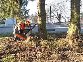 Eine scharfe Kette macht den Unterschied