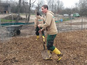 Mulch verteilen