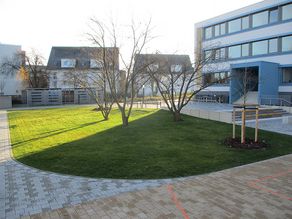 Grünfläche für den Sommer