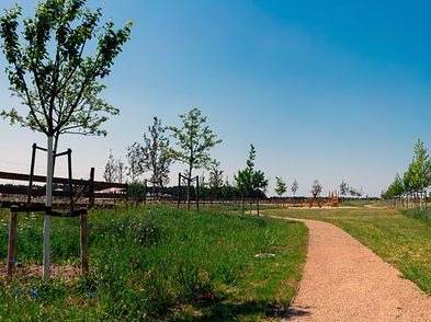 alpina ag Potsdam/Ludwigsfelde erstellt Obstwiesen im Rousseau Park