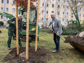 Baum-Patenschaft durch WG-Vorstand Henry Thom