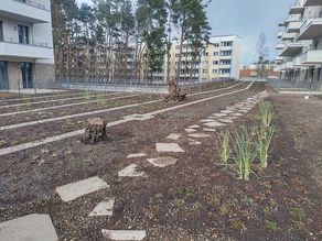 Neubau Außenanlagen in Ludwigsfelde