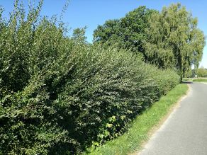 Ausgangssituation Ausgangssituation