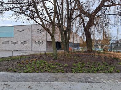 Ein grünes Umfeld für die Grundschule am Wasserturm