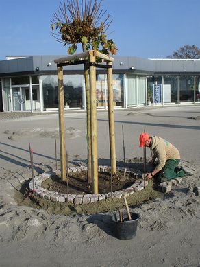 Parkplatz am Autohaus