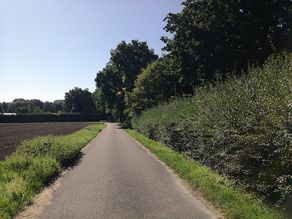 Ausgangssituation Ausgangssituation