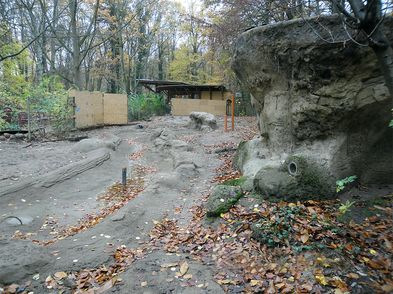 Neubau Ottergehege ZOO Rostock