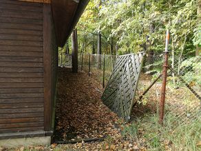 Trasse zum See vorher Trasse zum See vorher