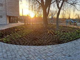 Ein grünes Umfeld für die Grundschule am Wasserturm