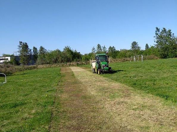 Rasenpflege für das Stadion Gänseblümchen