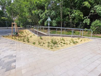Vorplatzsanierung am Fennpfuhlpark in Berlin-Lichtenberg