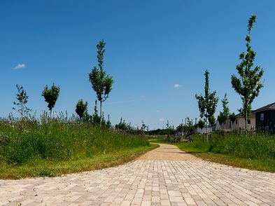 alpina ag Potsdam/Ludwigsfelde erstellt Obstwiesen im Rousseau Park