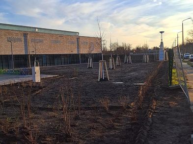 Ein grünes Umfeld für die Grundschule am Wasserturm