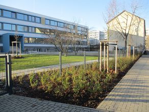 Pflanzstreifen im öffentlichen Bereich