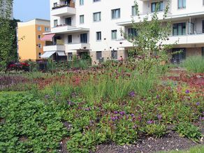 Neubau Außenanlagen in Ludwigsfelde