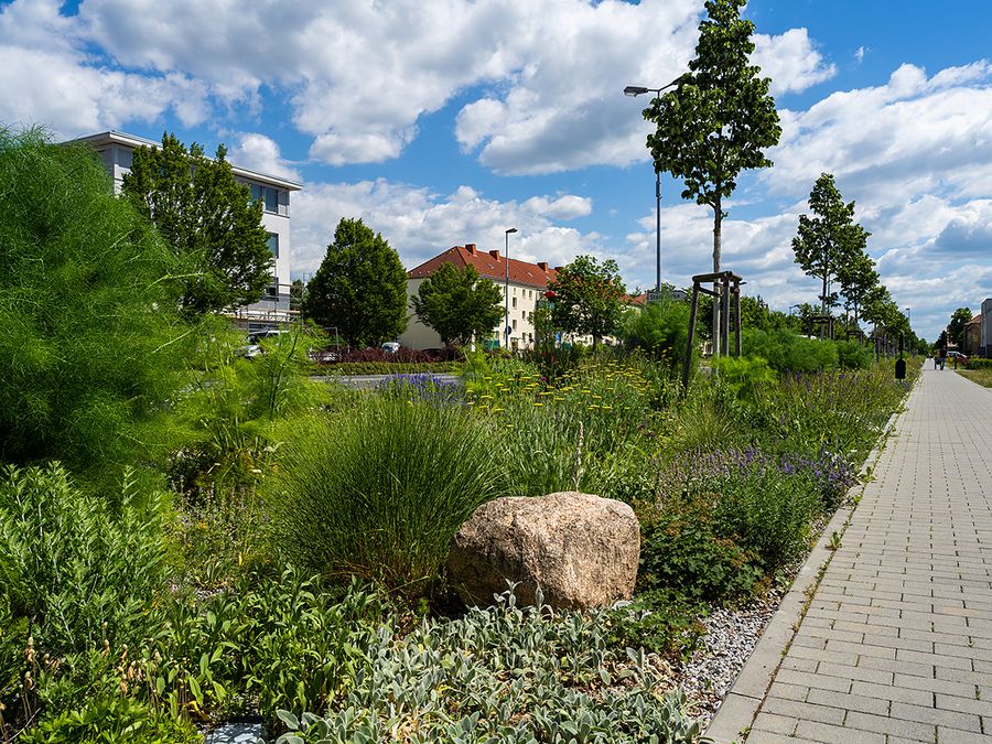 Stra enbegleitgr n Kann Auch Sch n Sein Stra enbegleitgr n Kann Auch Sch n Sein