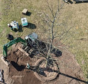 von oben - Großbaumpflanzung in Rostock