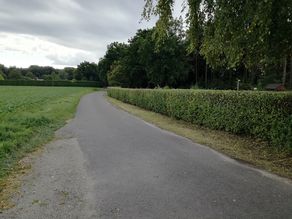 der erste Formschnitt der erste Formschnitt