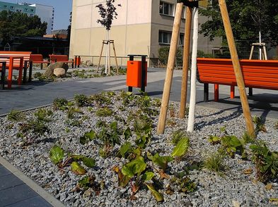 Sportplatz und öffentlicher Stadtplatz Hans-Eisler-Str. in Berlin Prenzlauer Berg