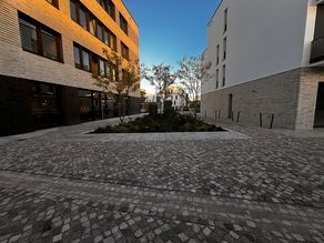 Beetbepflanzung