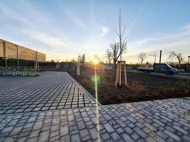 Ein grünes Umfeld für die Grundschule am Wasserturm