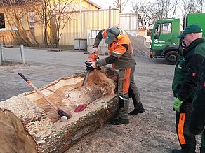 Eine Bank für die Rostocker Heide