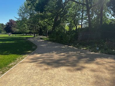 Sanierung des historischen Bürgerpark in Pankow