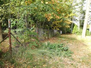 Trasse zum See vorher Trasse zum See vorher