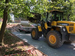 Denkmalgerechte Sanierung Schloßpark Buch