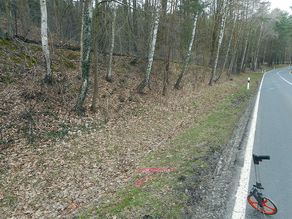 Böschungssanierung mit Gabionenbau