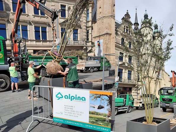 Verschönerung des Marktplatzes in Halle