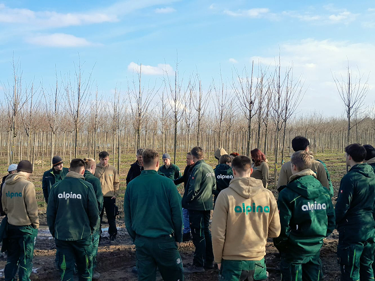 Azubis der alpina AG zu Gast in der Baumschule Lorberg – Seminar über Gehölzqualität